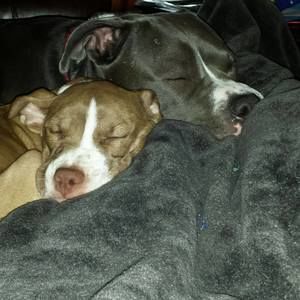 Meet your Posher, Dave